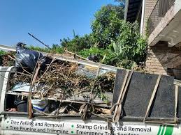 Best Retail Junk Removal  in Vla Grove, IL